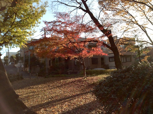 20121205 07 54 31