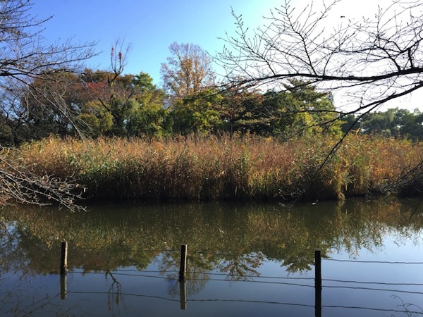 2014 1102 08 37 02